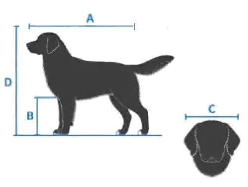 Dog measurement guide