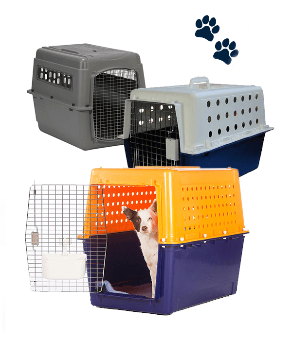 IATA Compliant Pet Travel Crates Pet Express Sri Lanka